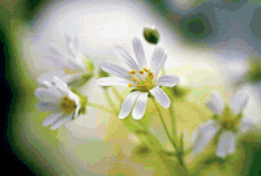 цветы - живопись, цветы - предпросмотр