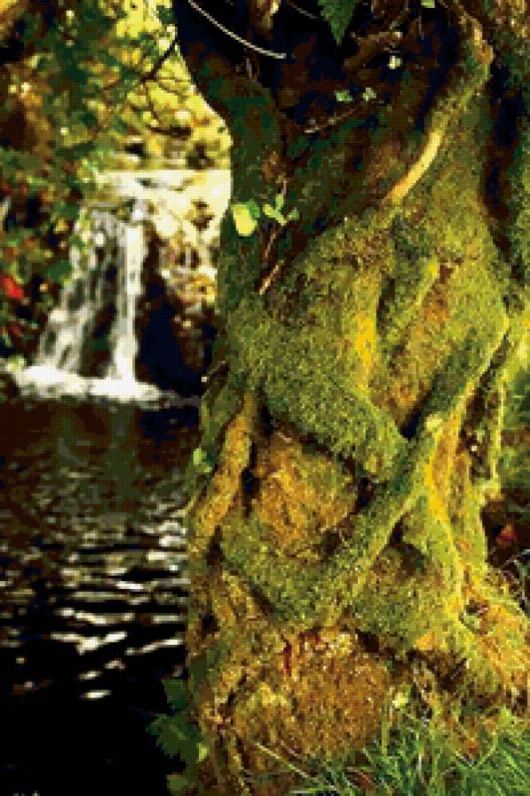 дерево - природа, озеро, вода - предпросмотр