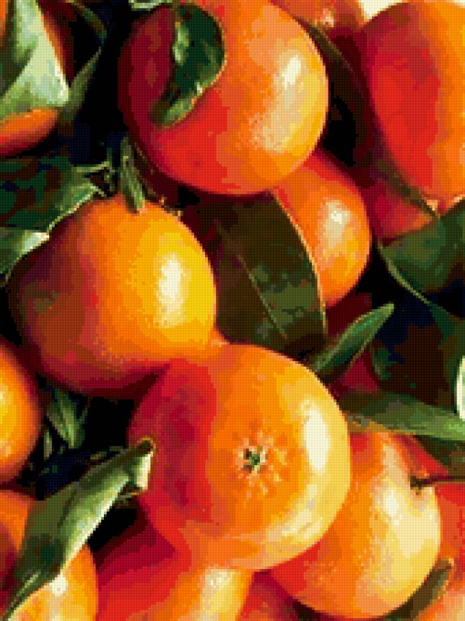 мандарины - фрукты, новый год, мандарины, лето - предпросмотр