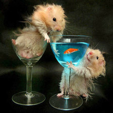 Схема вышивки «хомяки»