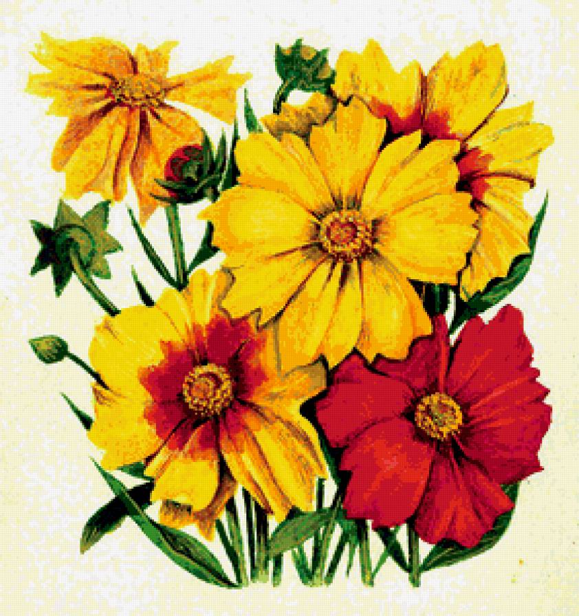 Кореопсис - живопись, цветы - предпросмотр