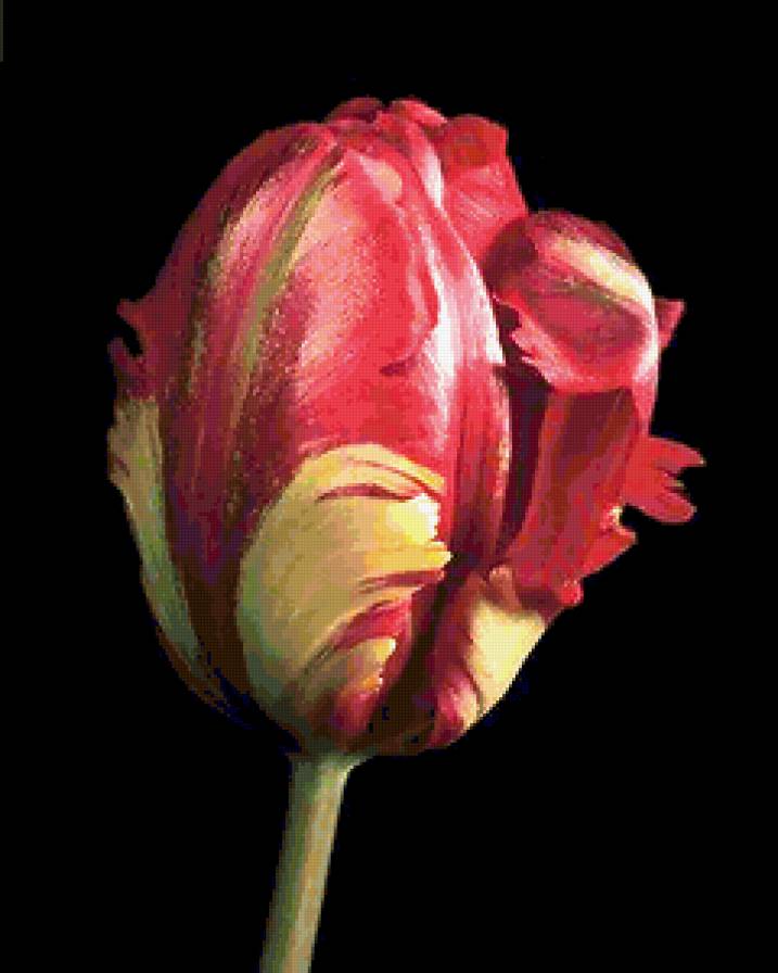 №185565 - предпросмотр