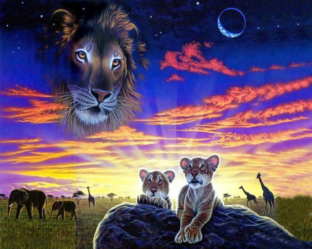 фауна - фауна, животные, львы, природа, картина - оригинал