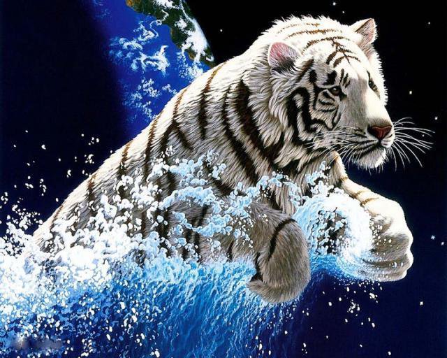 фауна - тигр, фауна, природа, картина, животные - оригинал