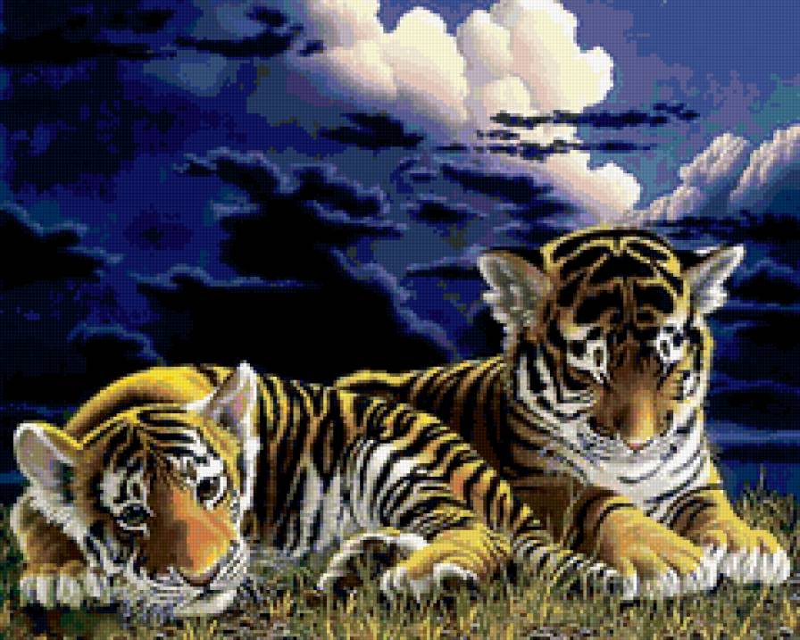 фауна - природа, тигр, животные, фауна, картина - предпросмотр
