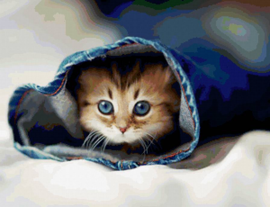 котик - кот - предпросмотр