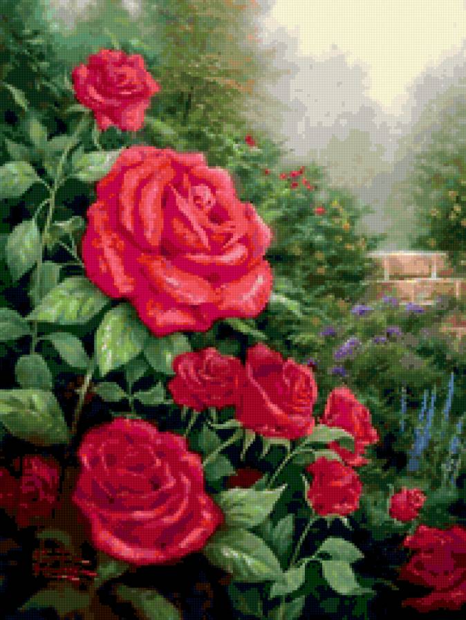 розы - натюрморт, романтика, , цветы, букет, природа - предпросмотр