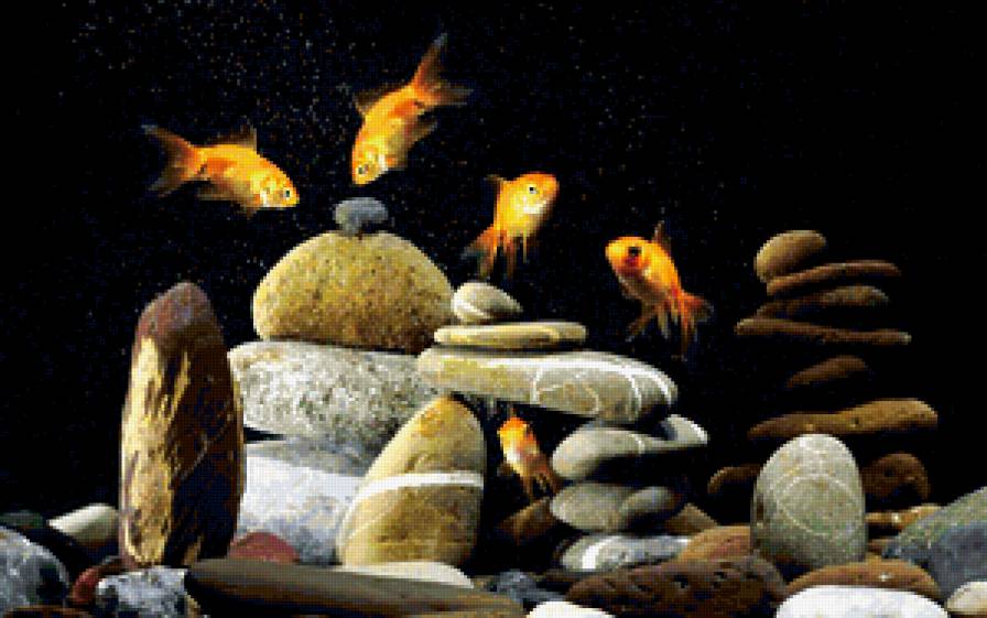аквариум - золотые рыбки - предпросмотр