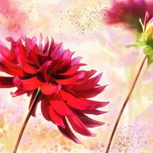 Схема вышивки «№185861»