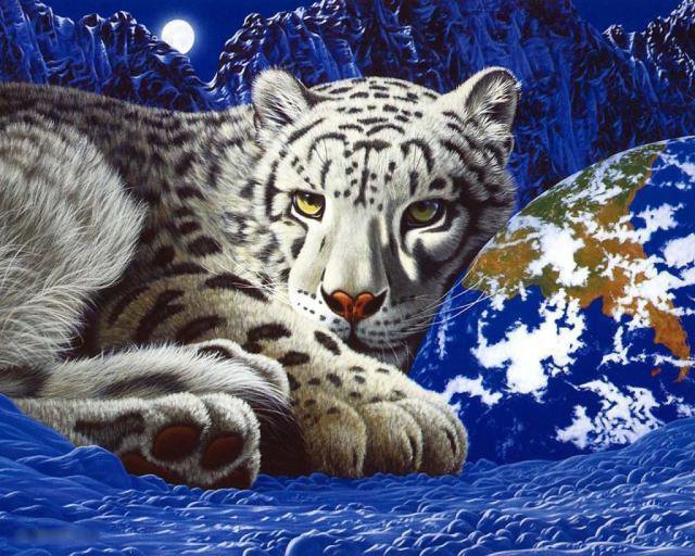 фауна - природа, картина, животные, фауна, тигр - оригинал