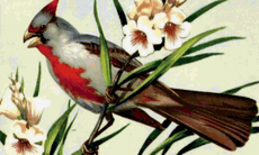 птицы - природа, птицы, животные, картина, фауна - предпросмотр