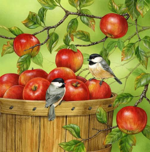 Яблоки - птицы, яблоки, корзина, фрукты - оригинал