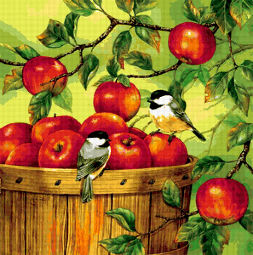 Яблоки - корзина, яблоки, фрукты, птицы - предпросмотр