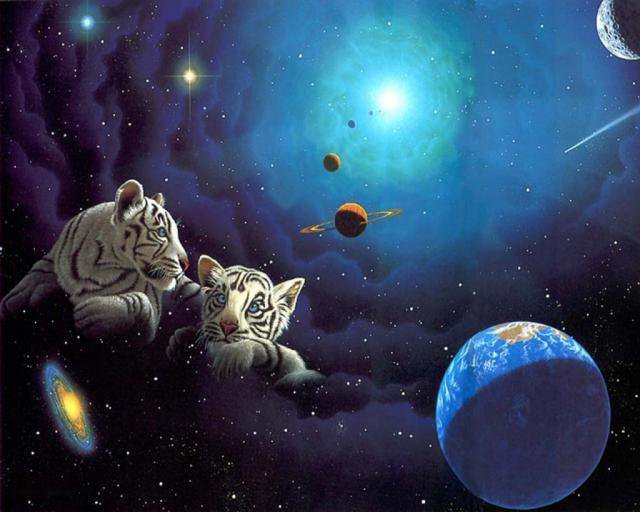 фауна - картина, тигр, природа, фауна, животные - оригинал