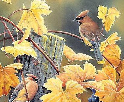 птицы - птицы, весна, картина, природа - оригинал