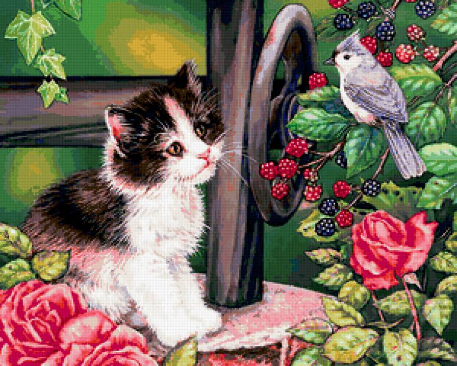 Коты - птицы, ягоды, кот, цветы - предпросмотр