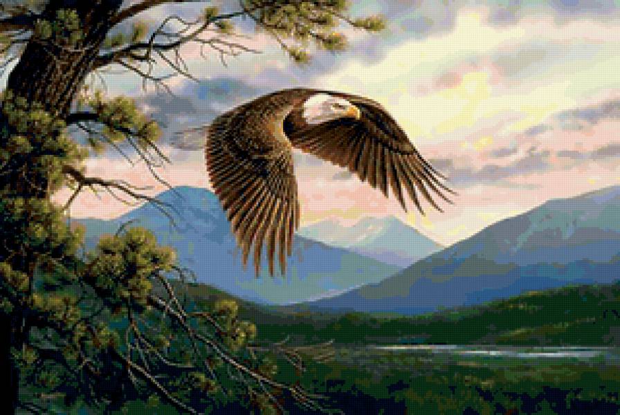 №186221 - предпросмотр