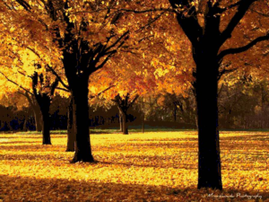 пейзаж - пейзаж, природа, осень, лес - предпросмотр