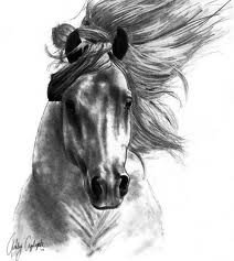 loshad - оригинал