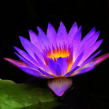 Схема вышивки «цветок»