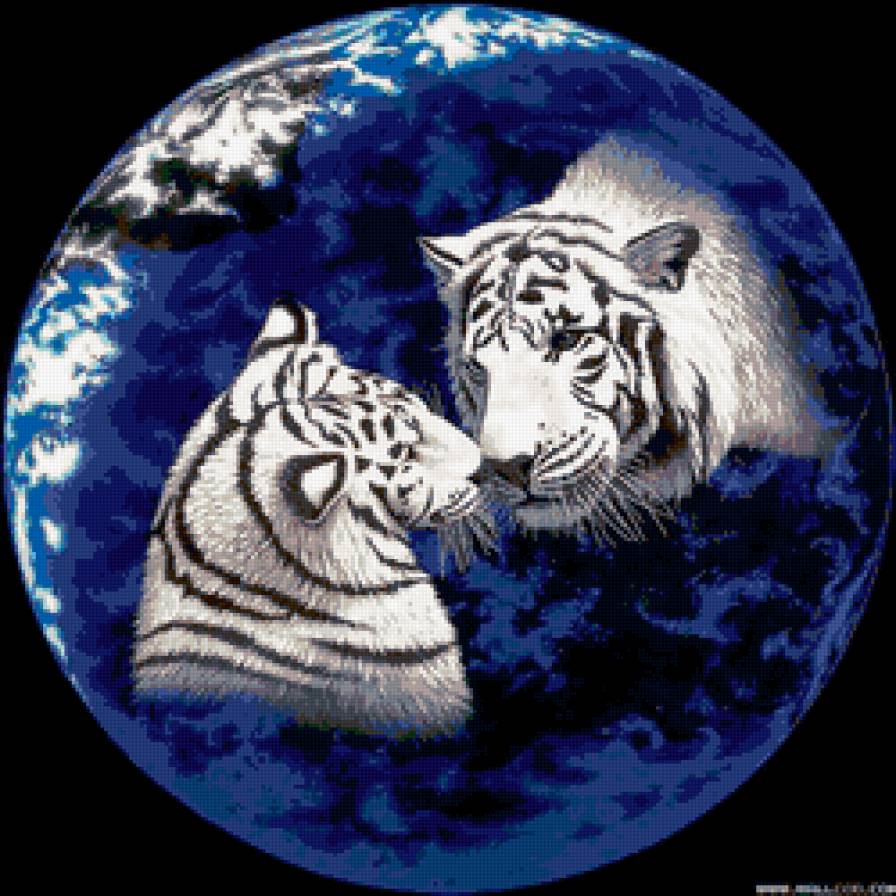 Белые тигры - тигры, животные - предпросмотр