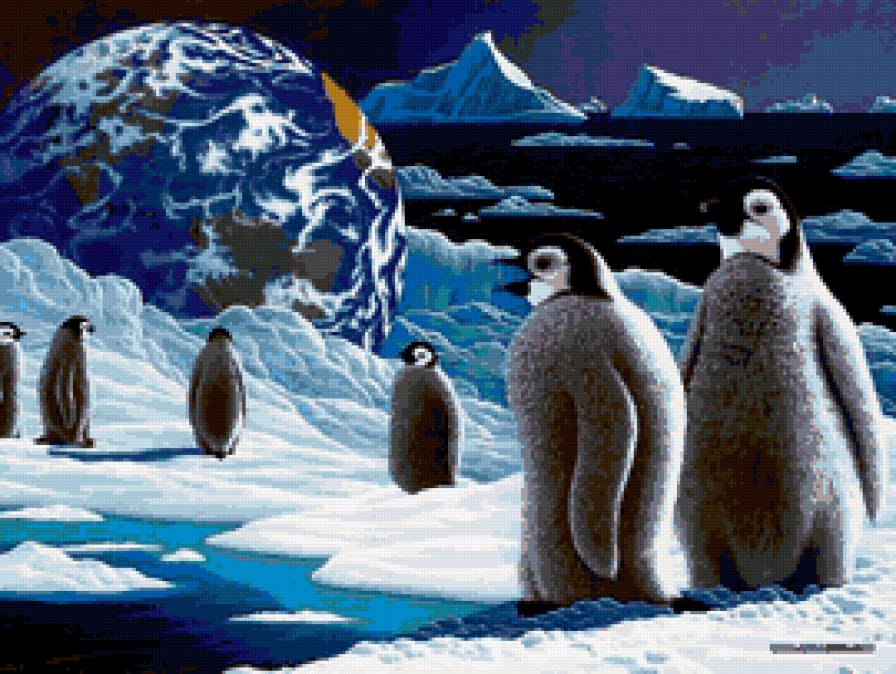 Пингвины - животные - предпросмотр