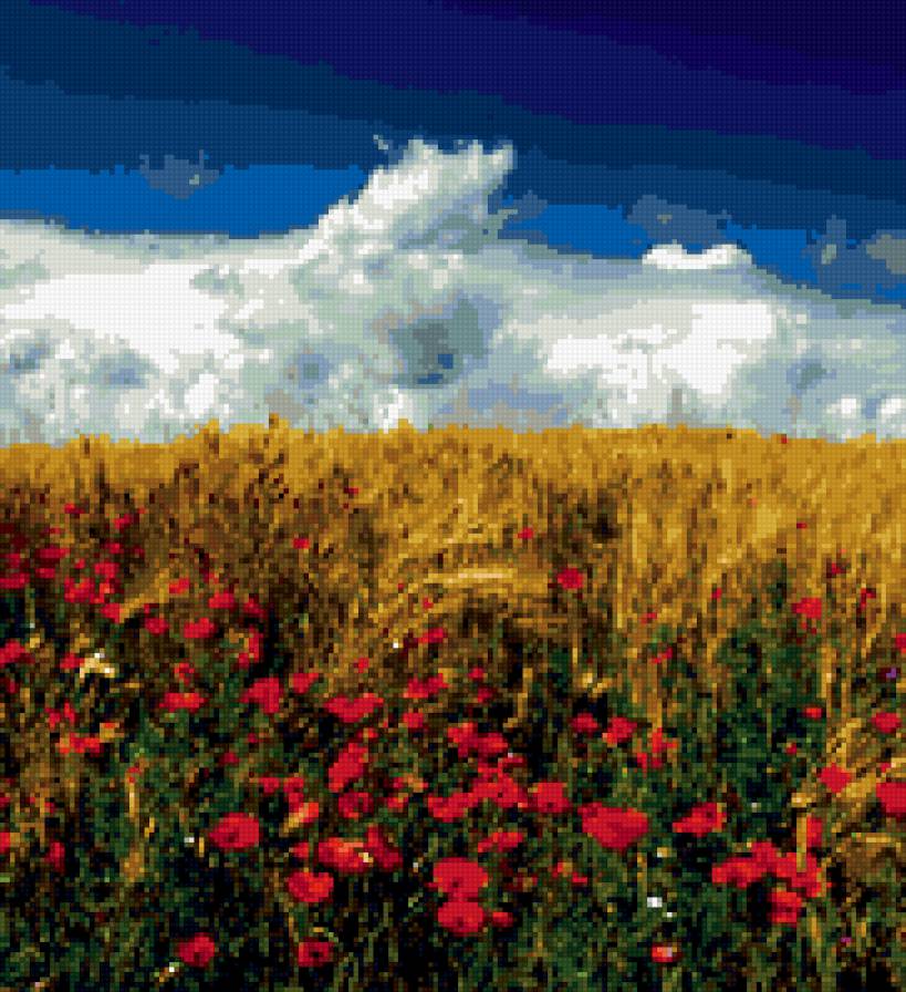 в поле - лето, цветы, природа - предпросмотр