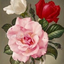 Оригинал схемы вышивки «розы» (№186967)