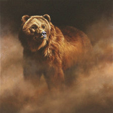 Оригинал схемы вышивки «бурый медведь» (№186973)