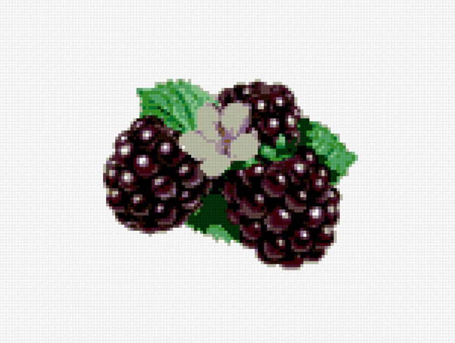 ежевика - ягоды, мини-вышивка, фрукты, ежевика - предпросмотр