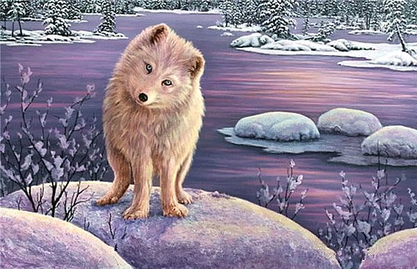 Давайте знакомиться! - река, елочки, животные, север, снег, собаки, зима - оригинал