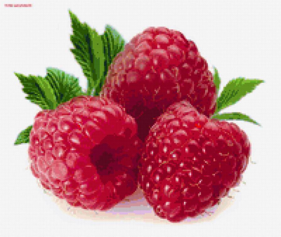 Ягода-малина - картина, ягоды, малина - предпросмотр