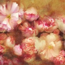 Схема вышивки «№187081»