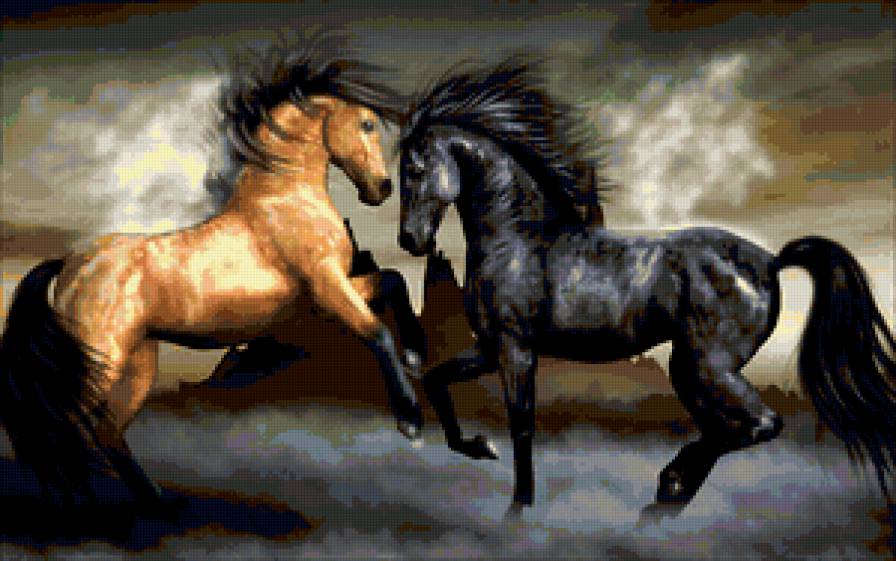 лошадки - кони, конь, лошадь, животные, лошади - предпросмотр