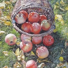 Схема вышивки «яблоки на траве»