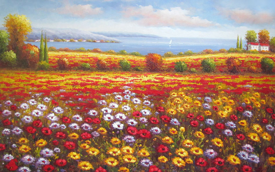 маковое поле - природа - оригинал