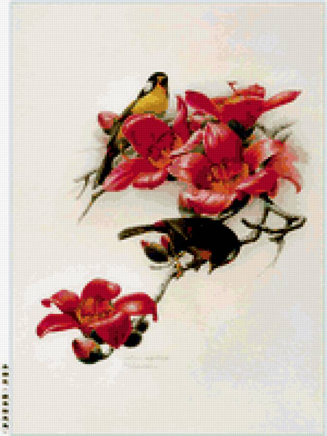 Птицы - предпросмотр