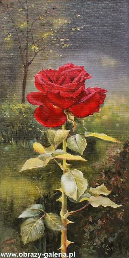 розы - розы, цветы, букет - оригинал