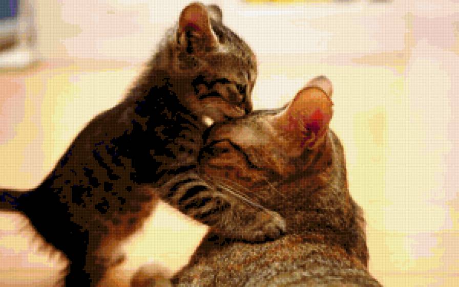 любовь к маме - любовь, мама, кошка, малыш, поцелуй, котенок - предпросмотр