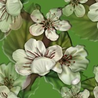 Схема вышивки «Подушка»