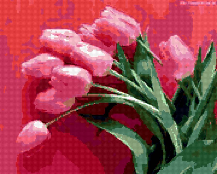 Тюльпаны на розовом - предпросмотр