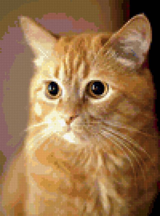 Рыжая кошка - кошка - предпросмотр