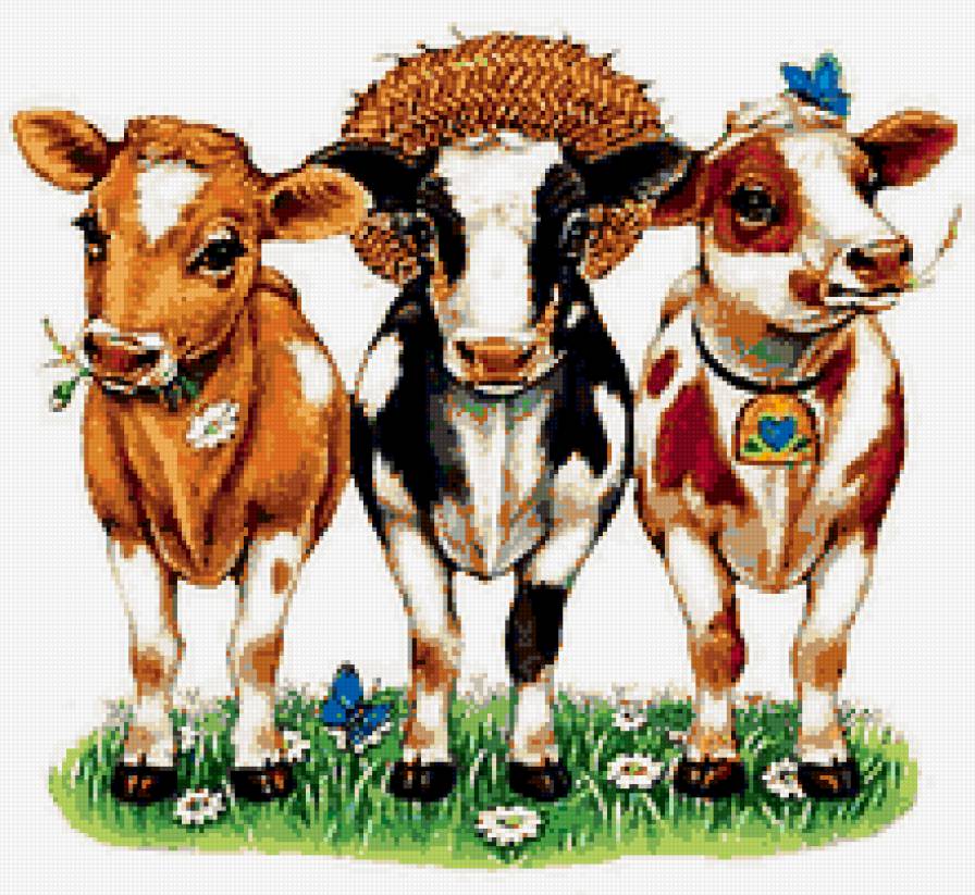 Буренки - коровы - предпросмотр