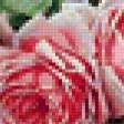 Предпросмотр схемы вышивки «розы» (№188064)
