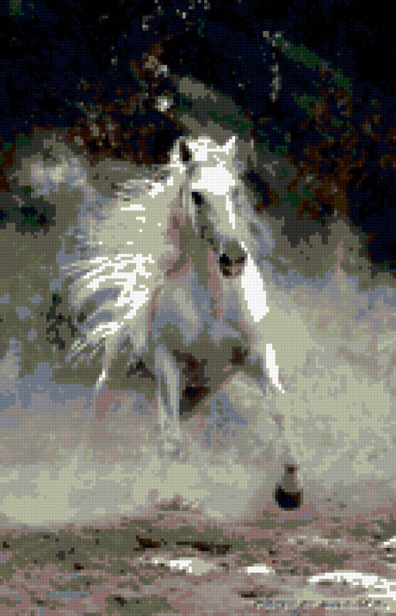 красивый конь - предпросмотр