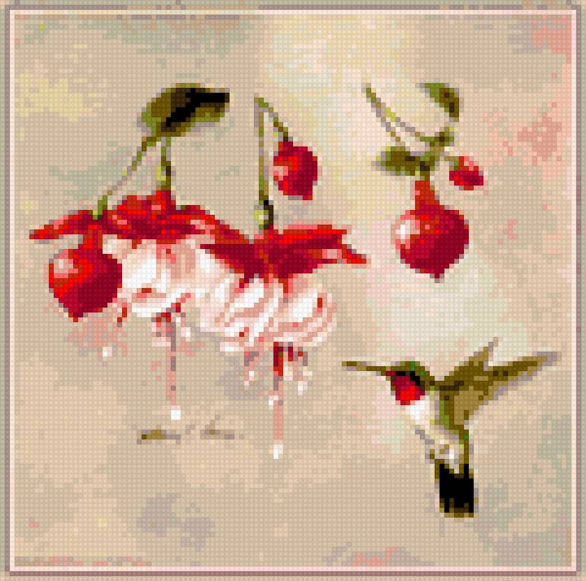 калибри и фуксии - птицы, калибри, цветы, фуксии - предпросмотр