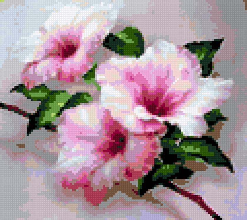 цветок магнолии - цветы, магнолия - предпросмотр