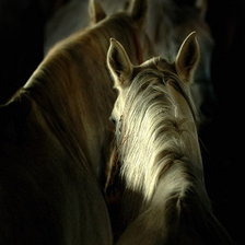 Схема вышивки «2 лошади»