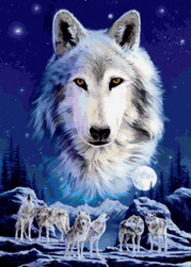 волк - предпросмотр