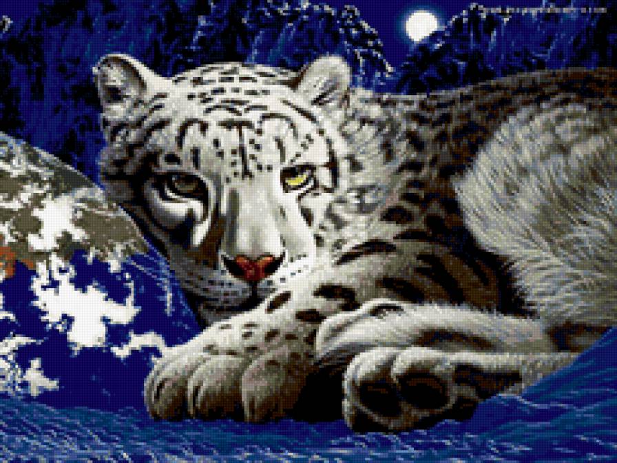 снежный барс - животные, кошки - предпросмотр